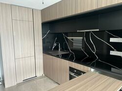 Irwell Hill Residences (D9), Apartment #458494831